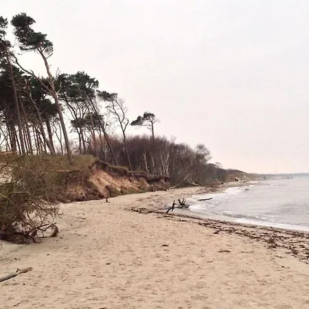 Aan De Horizon Nr 1